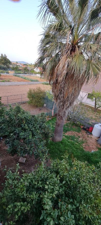 'The Seagull' Traditional Cottage Nea Makri Luaran gambar